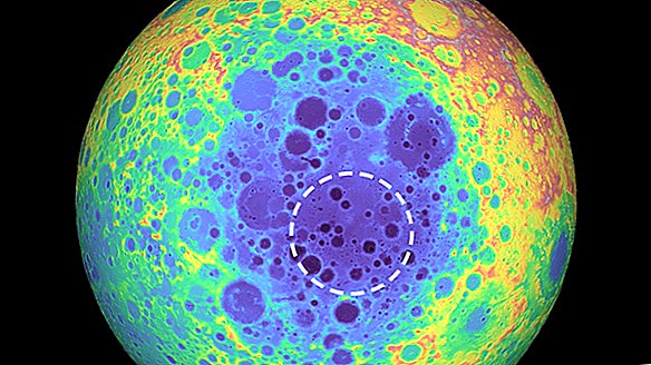 Anomalnost velikosti Havajev je pokopana pod največjim kraterjem Lune