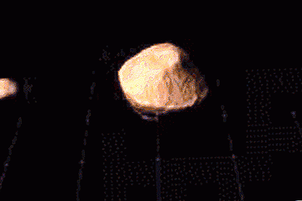 אסטרואיד עם ירח משלו ימציף את פני כדור הארץ הלילה