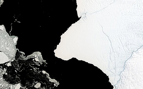 جبل الجليد مرتين حجم مدينة نيويورك يمكن أن يقطع أنتاركتيكا