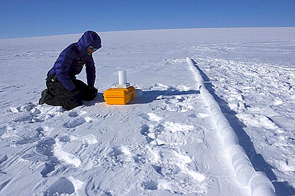 Antigos núcleos de gelo no Ártico danificados pelo derretimento do congelador da universidade