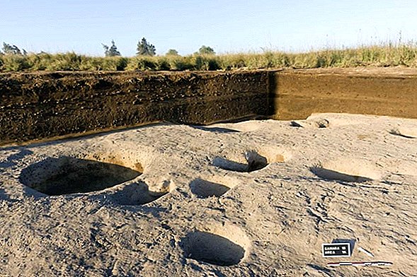 Oud-Egyptisch dorp gevonden langs de rivier de Nijl dateert van vóór de farao's