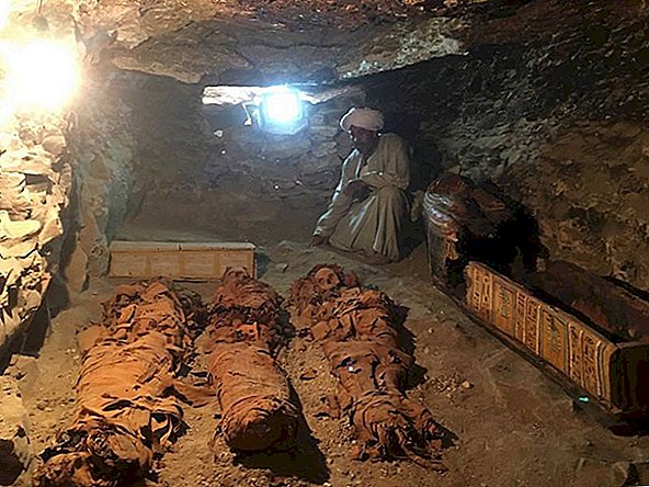 Tumba del antiguo orfebre llena de momias descubiertas en Luxor