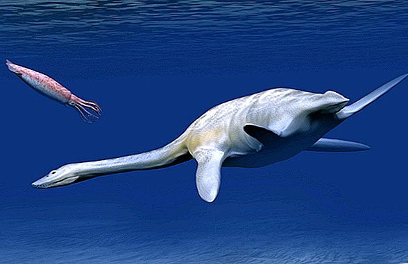 Het oude 'Loch Ness Monster' uit Antarctica breekt een record voor lichaamsgrootte