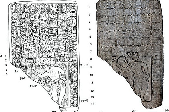 اكتشاف مملكة مايا قديمة بها هرم في جنوب المكسيك