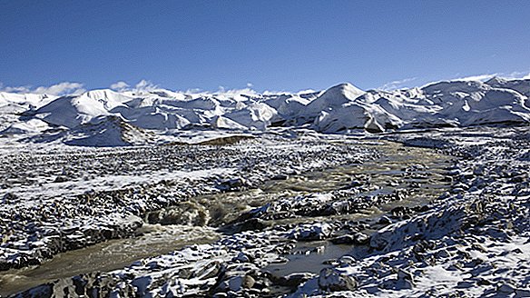 Tibeto ledyne užrakinti senovės niekada nematyti virusai