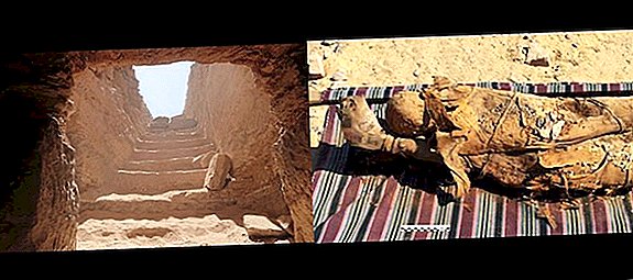 Antigua tumba del hombre misterioso llamada Tjt descubierta en Egipto