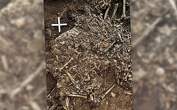 Oude, onbekende stam van de pest gevonden in een 5000 jaar oud graf in Zweden