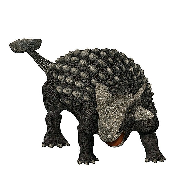 アンキロサウルス：装甲トカゲについての事実