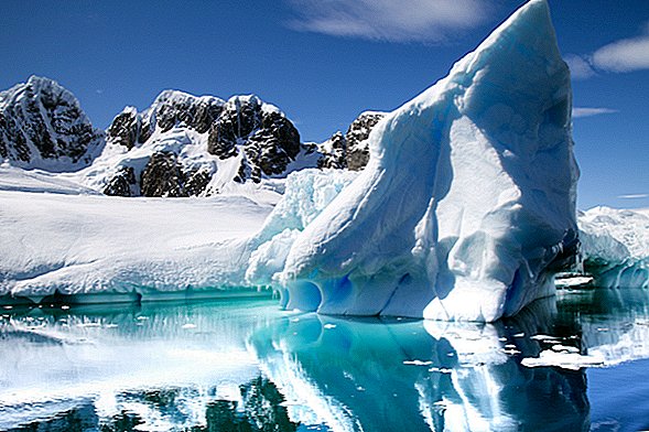 A Antártica acabou de ver seu dia mais quente de todos os tempos