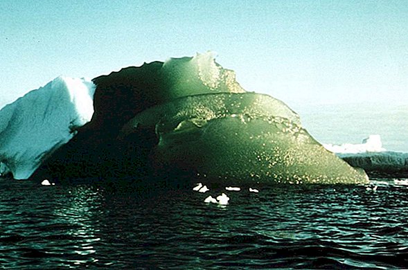 Die bizarren grünen Eisberge der Antarktis sind mehr als eine Eigenart des Südlichen Ozeans