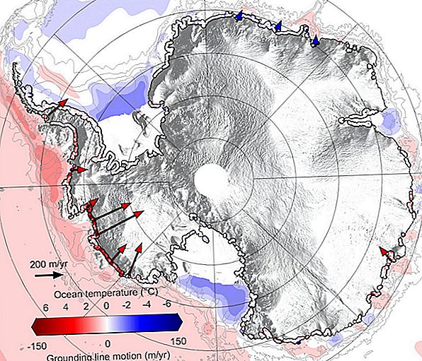 Подводный лед Антарктиды отступает в 5 раз быстрее, чем должно быть