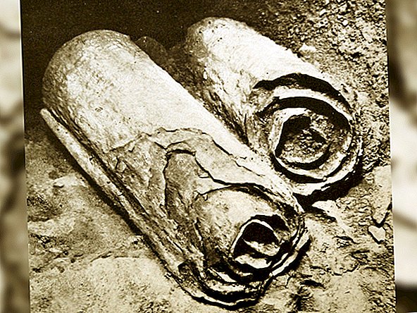 Archäologen suchen nach Schriftrollen vom Toten Meer in 2 neu entdeckten Qumran-Höhlen