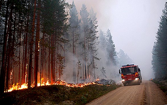 Arctic Circle Burns As Record Värmeborrar Nordeuropa