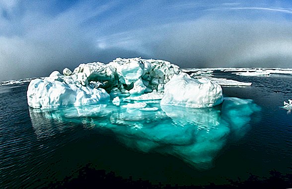 Es Laut Arktik Yang Paling Stabil Hilang dengan Cepat