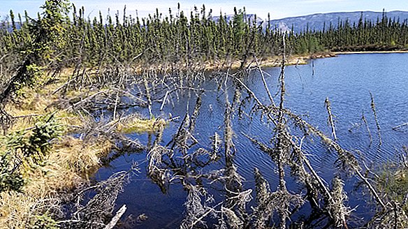 Arctische zinkgaten gaan in een oogwenk open nadat permafrost smelt