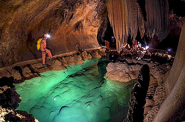 Астронавтите прекараха 6 нощи в пещерно-черна пещера и се появиха с чисто нови видове ракообразни