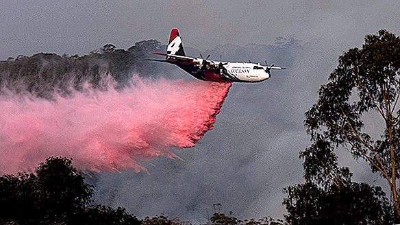 Megafire australiano engulle casi 1,5 millones de acres