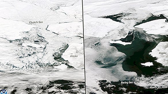 De Beringzee zou nu bevroren moeten zijn. Dat is het niet.