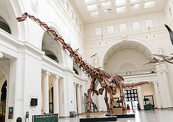 El dinosaurio más grande que jamás haya caminado sobre la Tierra solo quiere enviarte mensajes de texto
