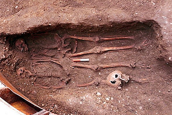 Casal da Morte Negra? 2 esqueletos masculinos encontrados com os dedos entrelaçados