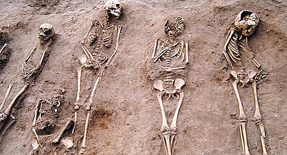 Black Death 'Plague Pit' con 48 esqueletos es 'extremadamente raro'