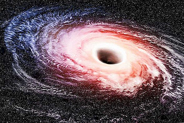 블랙홀은 별을 삼키고, 은하가 자라는 방법에 대한 단서를 뱉어냅니다.