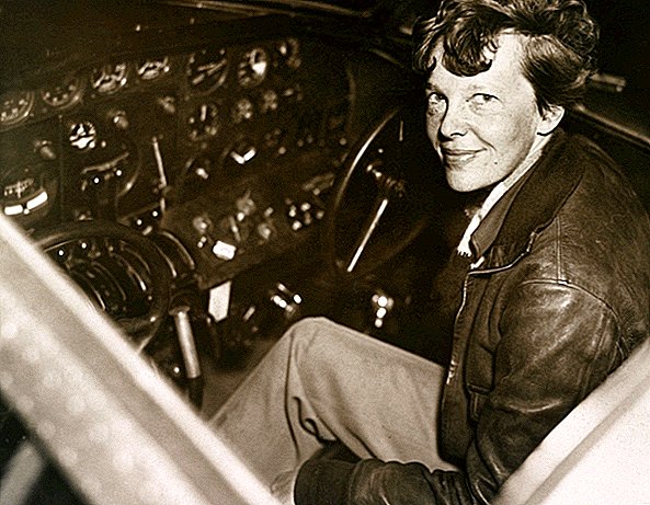 Kemik Koklama Köpek Dedektifleri Amelia Earhart'ın Kalıntıları Avına Katıl