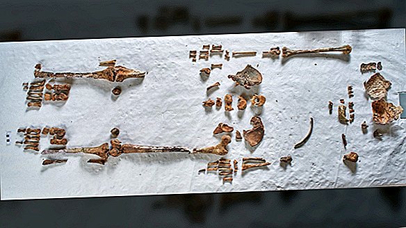 Los huesos encontrados en una iglesia son los primeros restos verificados de un santo inglés
