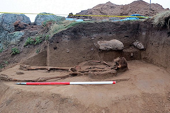 עצמות של אנשים חסרי ידיים שנמצאו ליד קבורה דולפין מימי הביניים