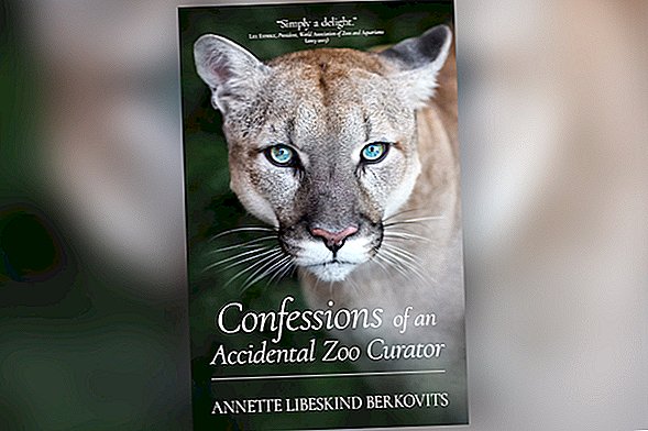 Utdrag av boken: 'Confessions of an Accidental Zoo Curator' (Tenth Planet Press, 2017)