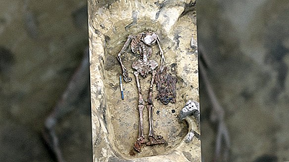 Idade da Bronze Siberian 'Birdman' usava um colar de bicos e caveiras