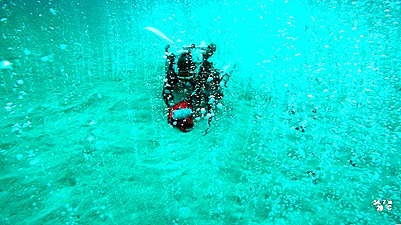 필리핀 해저에서 발견되는 버블 링 이산화탄소 배출구