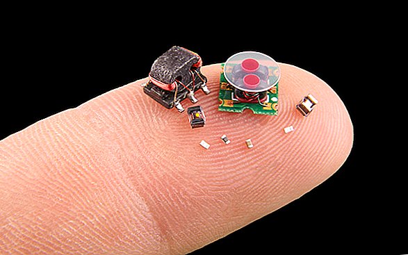 Bug-størrelse robotkonkurrenter til at sverme DARPA's 'robot-OL'