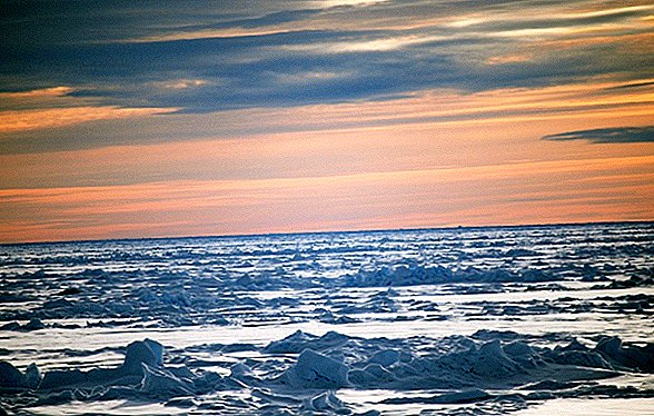 Canadá hace un reclamo al Polo Norte
