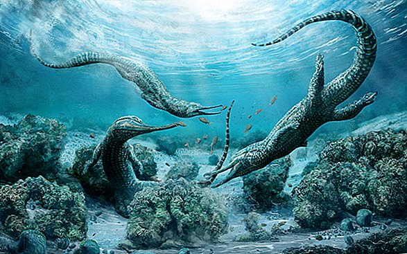 Auto-Größe "Sea Monster" Terrorisierte Trias-Ozeane