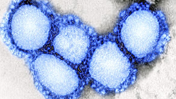China krijgt een 'gemengde rapportkaart' als reactie op het coronavirus. Hoe zullen de VS het doen?