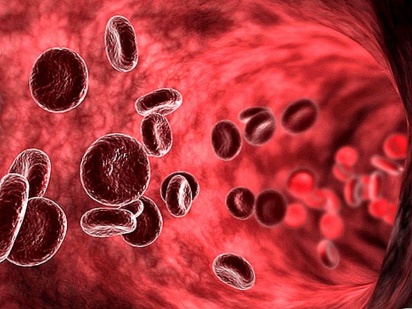 نظام الدورة الدموية: حلبة مذهلة تبقي أجسادنا مستمرة