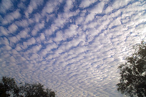 Změny klimatu by mohly způsobit, že tyto super-běžné mraky zaniknou, což by spálilo planetu