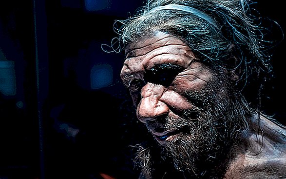 El cambio climático llevó a algunos neandertales al canibalismo