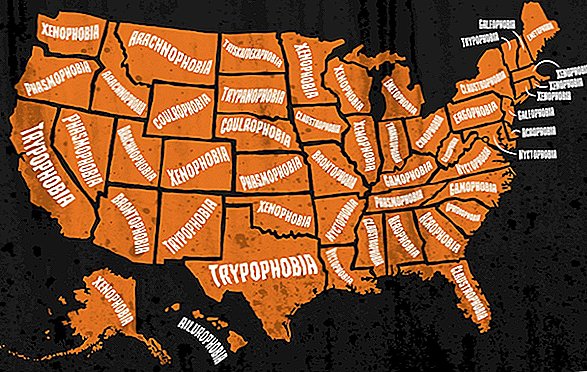 Klovne eller huller: Hvad er din stat mest bange for?