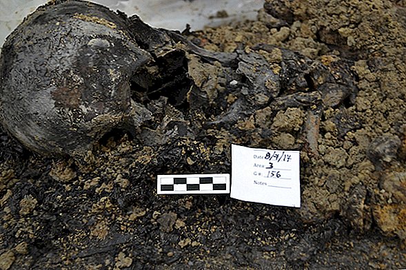 Un cimetière colonial découvert accidentellement à Philadelphie et des chercheurs se précipitent pour analyser les os