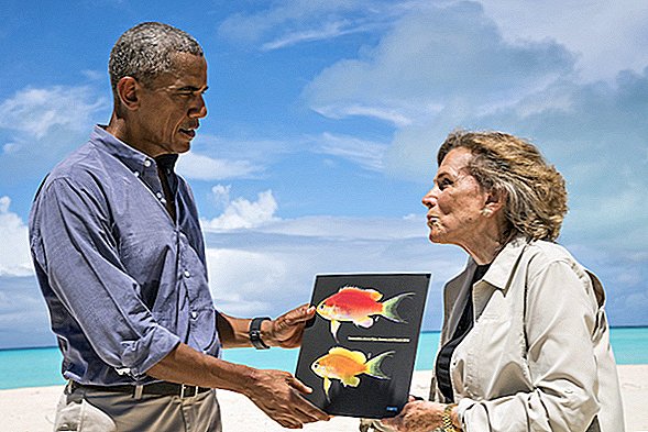 Kleurrijke Hawaiiaanse vis genoemd ter ere van president Obama