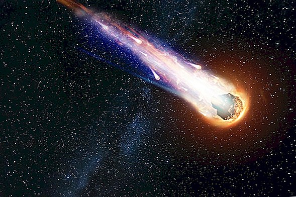 Kometos ingredientai, nuryti asteroido, rasti uždaromi meteorito viduje