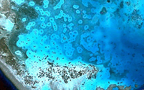 Korallrev har 'haloer', og de kan ses fra himlen