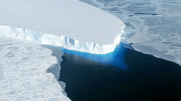 Glacier «Cork» retenant l'élévation du niveau de la mer peut apparaître