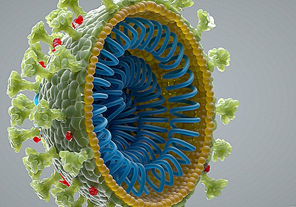 Das Coronavirus konnte nicht aus einem Labor entkommen. Hier ist, woher wir wissen.