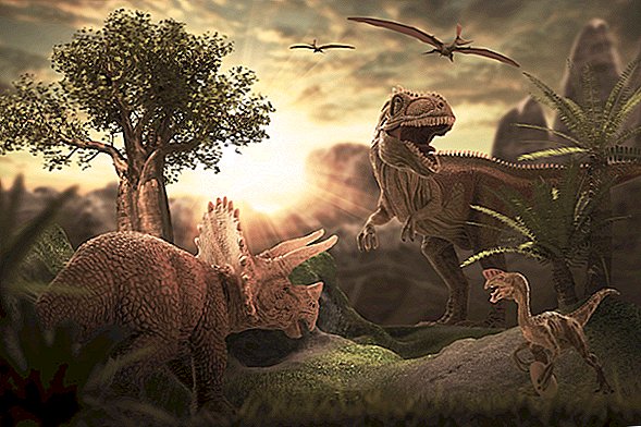 Voisiko Evolution koskaan palauttaa dinosaurukset?