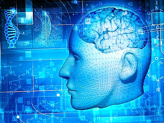 هل يمكن أن تفسر آثار الدماغ الكمومية الوعي؟