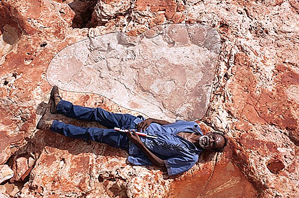 كريكي! اكتشاف آثار أقدام ديناصور بحجم الثلاجة في أستراليا