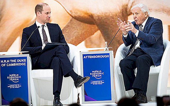 David Attenborough waarschuwt dat de aarde het 'tijdperk van de mens' is binnengegaan